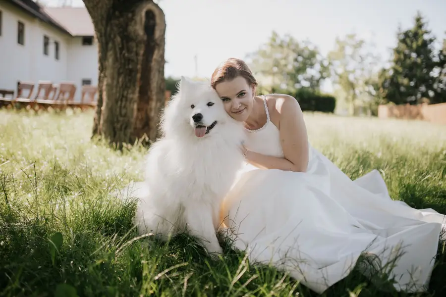 Focení zvířat - Fotografie č. 3