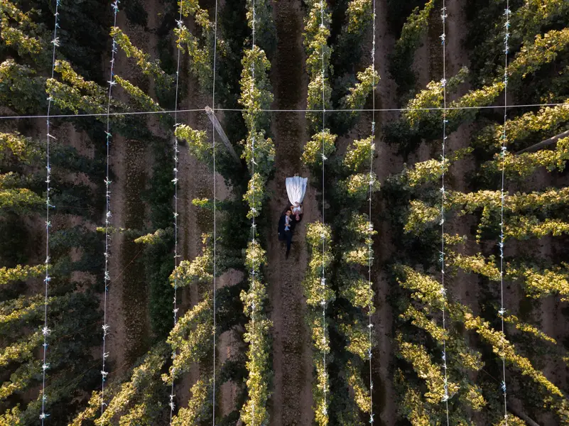 Svatební fotograf Petr Blažek - Fotografie č. 4