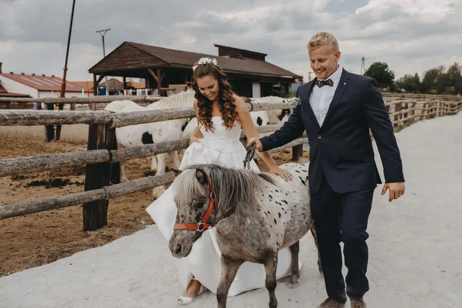 Svatební fotograf Tomáš Bederka - Fotografie č. 3