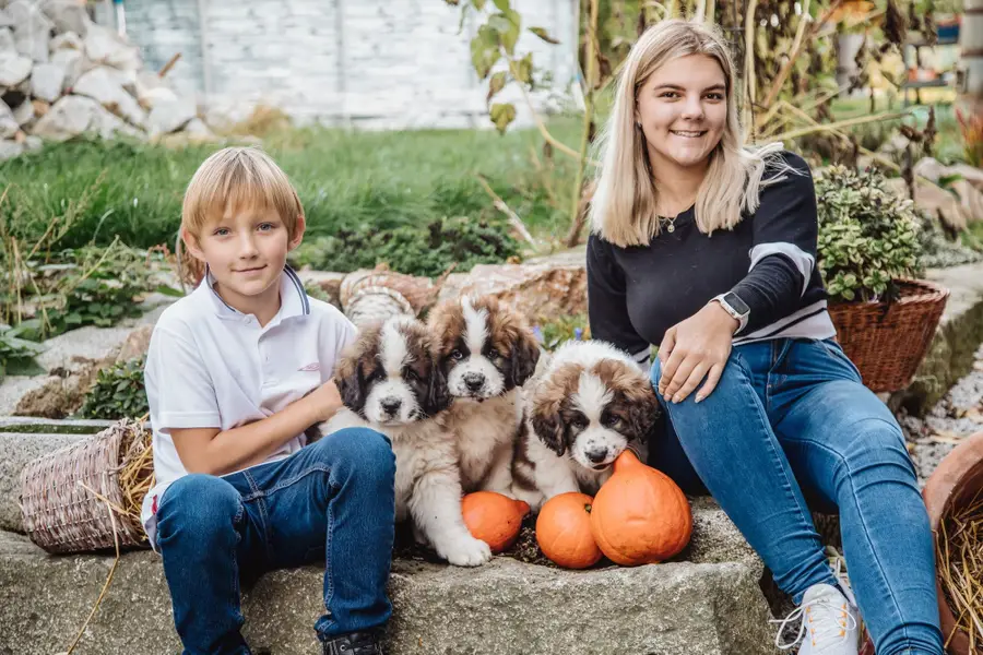 Focení zvířat - Fotografie č. 4