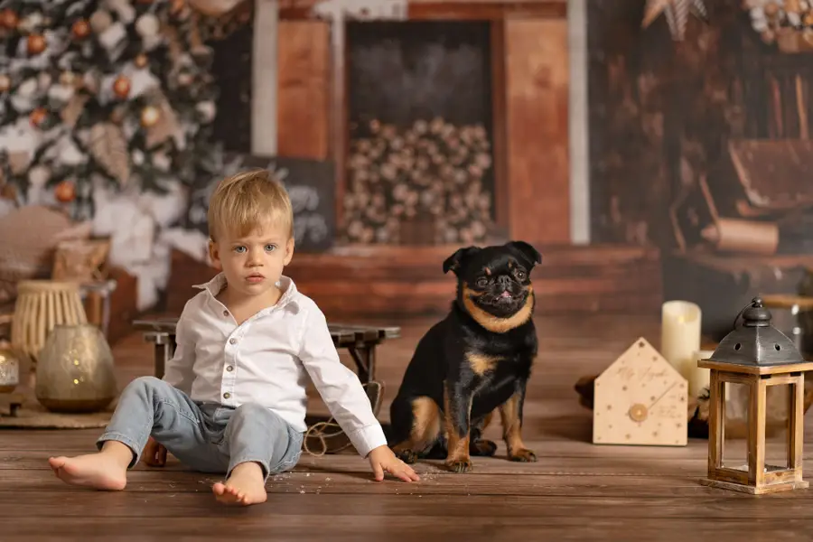 Vánoční focení - Fotografie č. 1