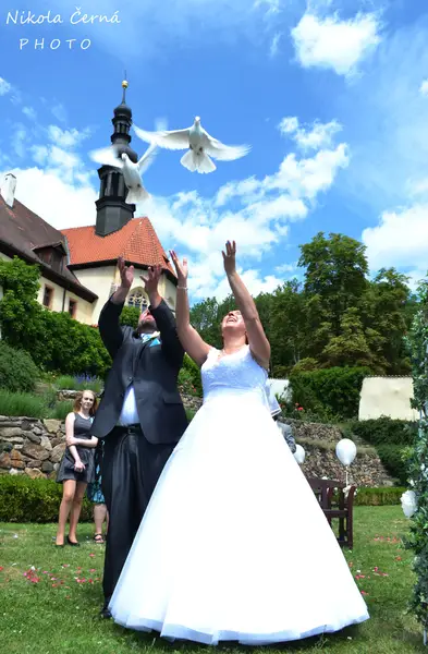 Svatební fotograf Nikola Černá - Fotografie č. 9