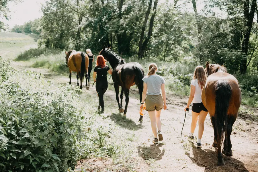 Focení zvířat - Fotografie č. 24