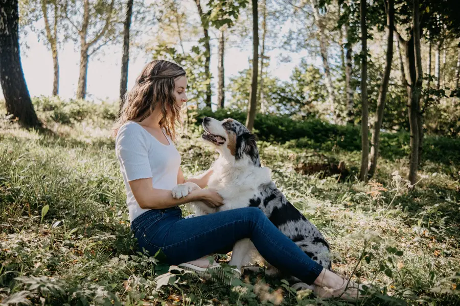 Focení zvířat - Fotografie č. 21