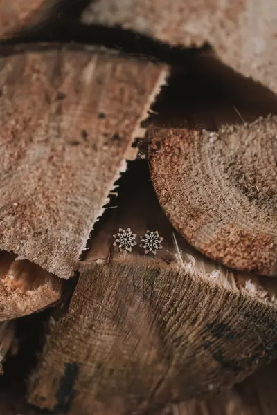 Produktový fotograf - Fotografie č. 4