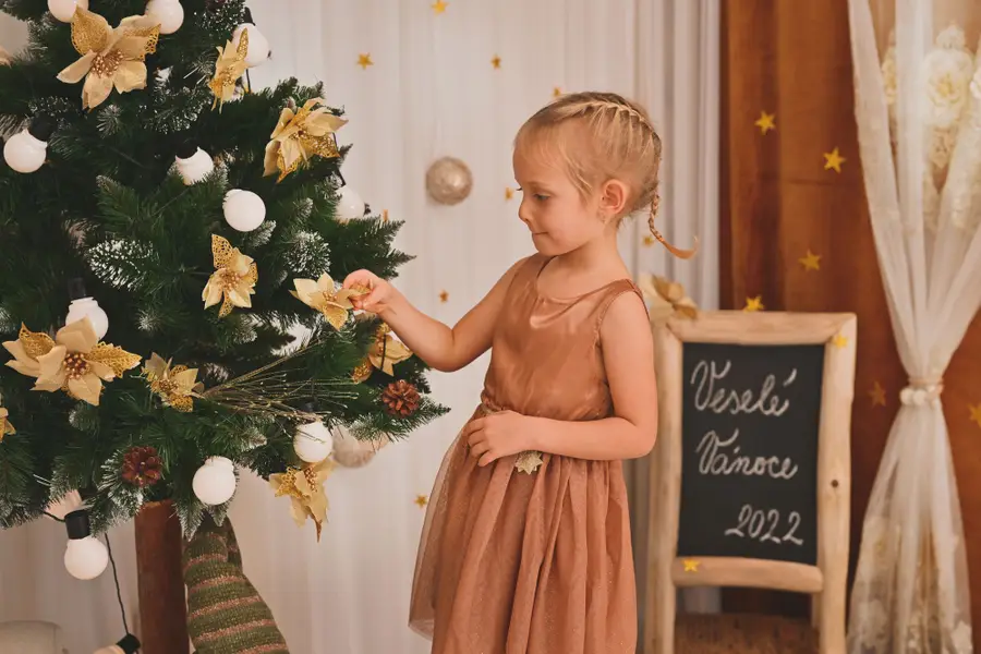 Vánoční focení Věra Stehlíková - Fotografie č. 8
