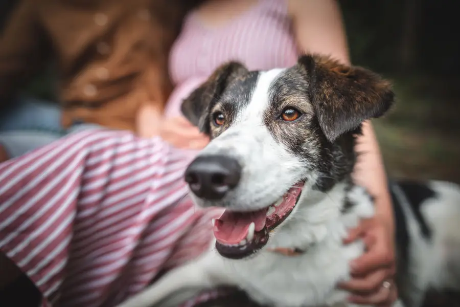 Těhotenské focení Klára Lipertová - Fotografie č. 9