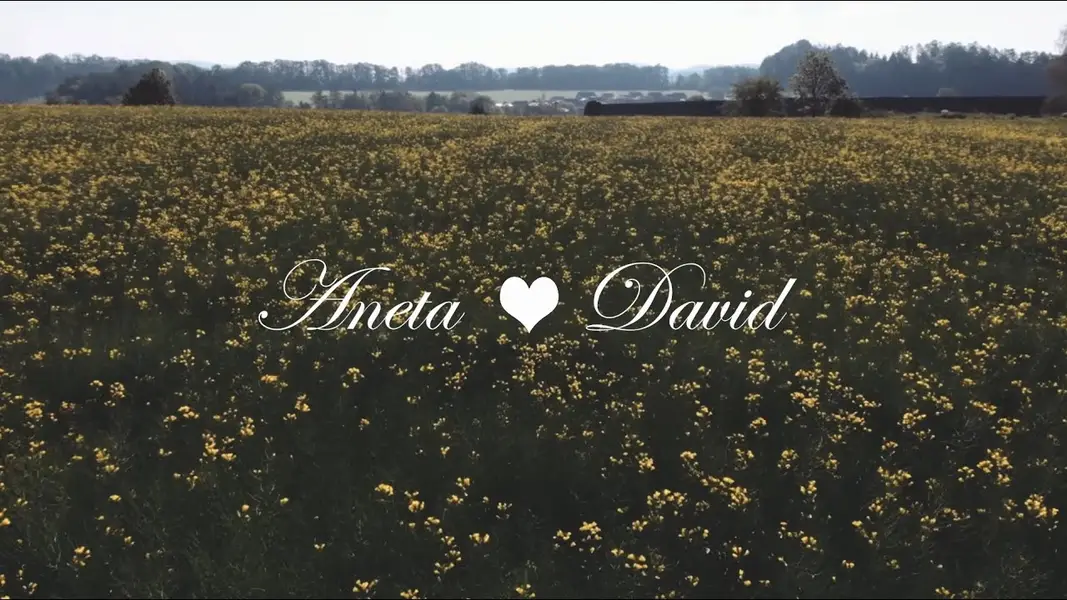 Svatební kameraman David Rebhán - Fotografie č. 9