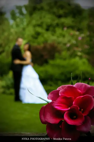 Svatební fotograf - Fotografie č. 2
