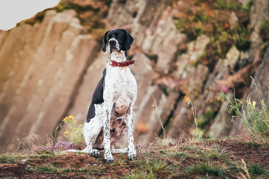 Focení zvířat Kateřina Hánová - Fotografie č. 6