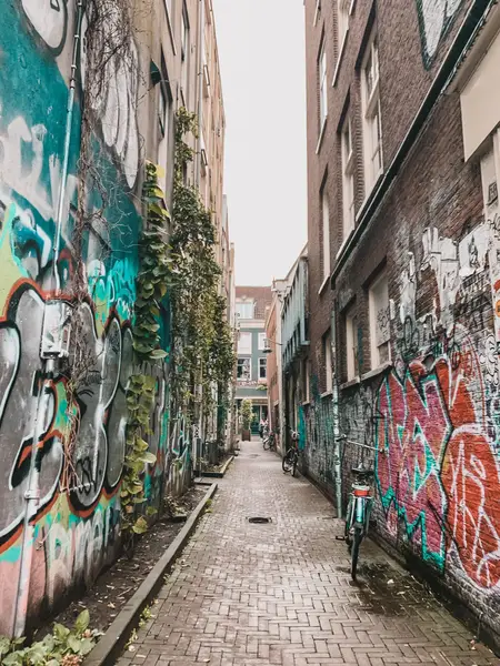 Realitní fotograf - Fotografie č. 13