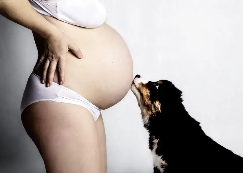 Těhotenské focení Adéla Andersová - Fotografie č. 4