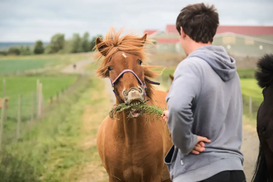 Focení zvířat - Fotografie č. 7