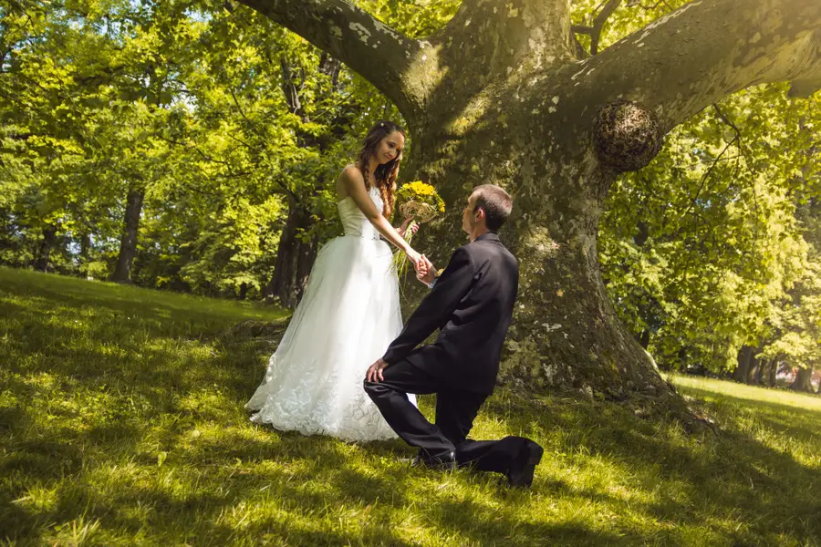 Svatební fotograf - Fotografie č. 11