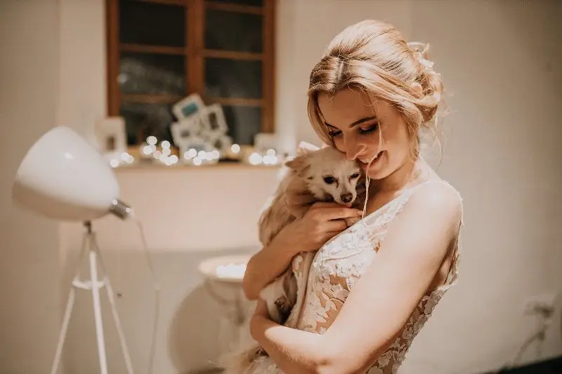 Svatební fotograf Jan Vosáhlo - Fotografie č. 6