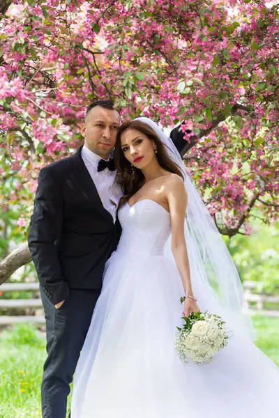 Svatební fotograf - Fotografie č. 27