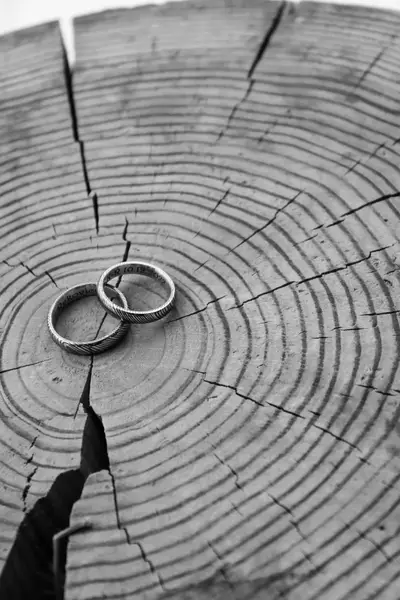 Svatební fotograf Natálie Vačevová - Fotografie č. 9