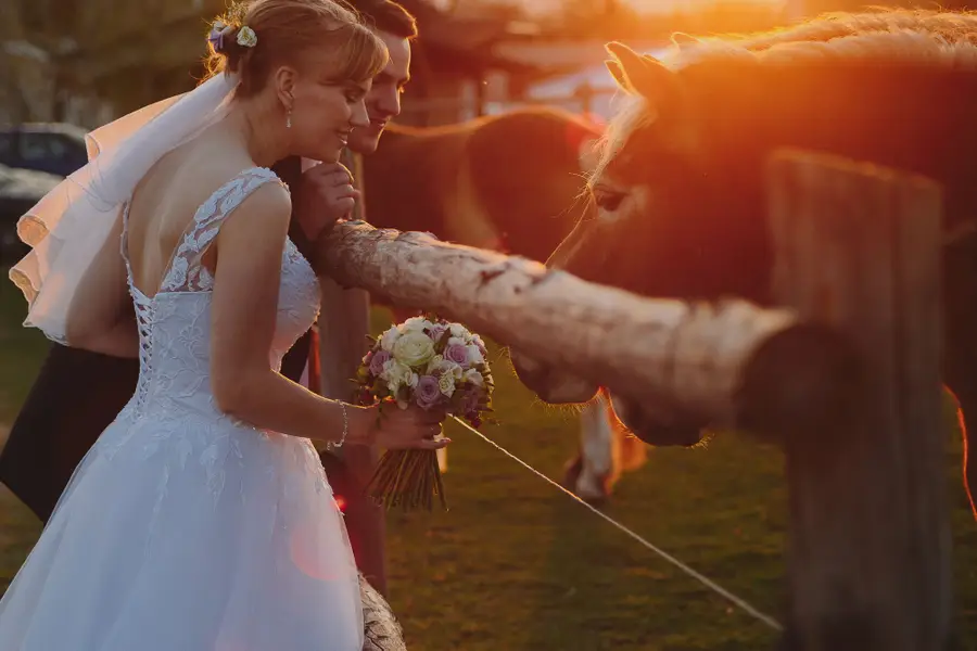 Svatební fotograf Hana Brádková - Fotografie č. 6