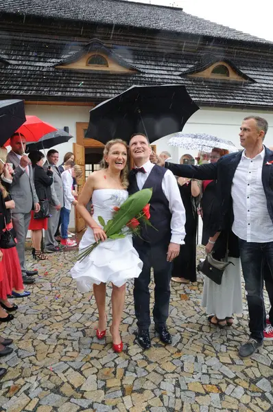 Svatební fotograf Petr Holeček - Fotografie č. 4