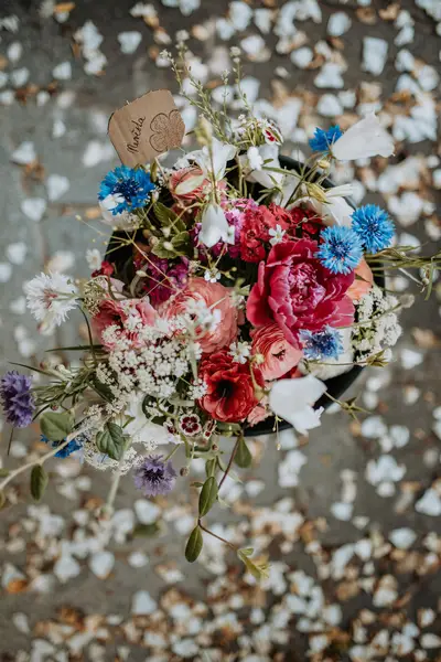 Svatební fotograf Natálie Schneiderová - Fotografie č. 6