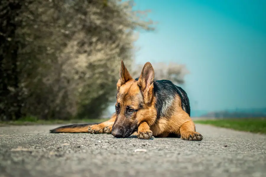 Rodinné focení Lucie Rotigelová - Fotografie č. 10