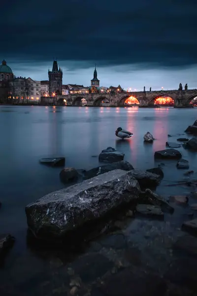Realitní fotograf - Fotografie č. 8