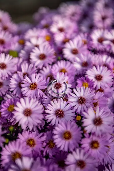 Svatební fotograf Tomáš Kouba - Fotografie č. 8