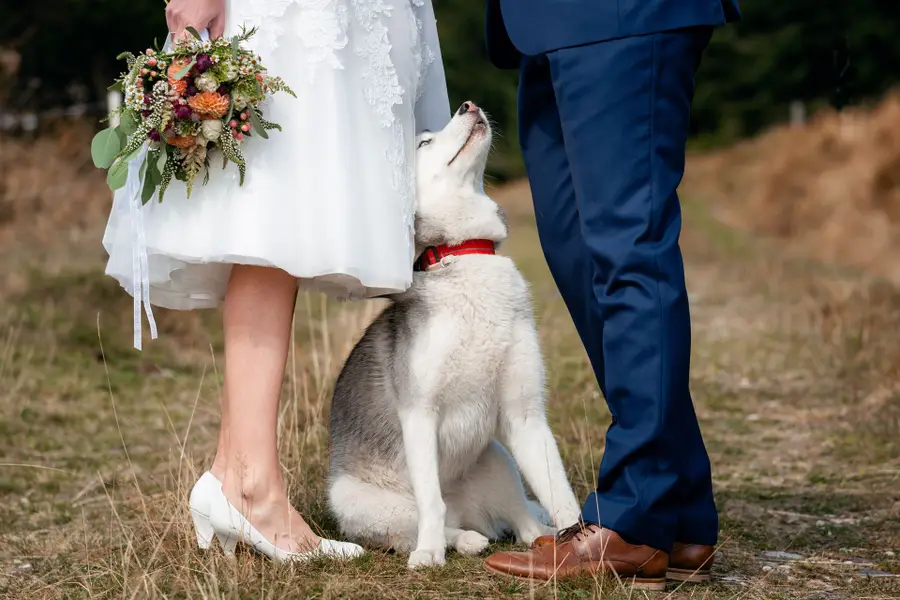 Svatební fotograf Petr Koval - Fotografie č. 4