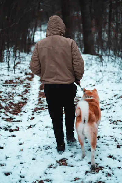 Focení zvířat - Fotografie č. 1