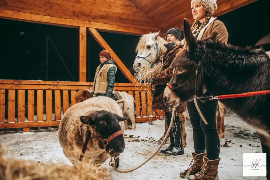 Focení eventů a akcí - Fotografie č. 5