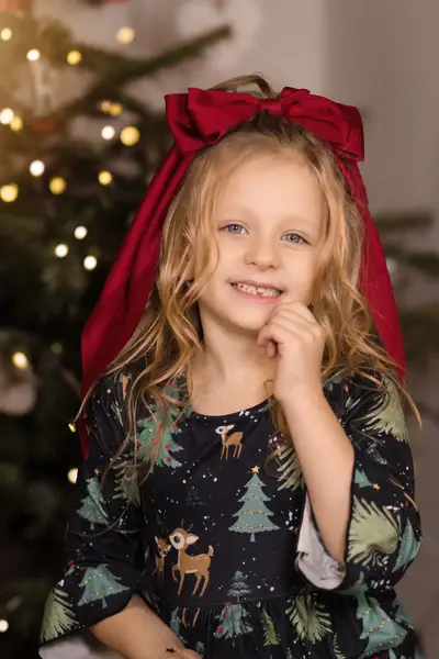 Vánoční focení Anna Boháčová - Fotografie č. 2