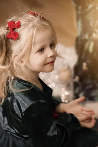 Vánoční focení Anna Boháčová - Fotografie č. 4
