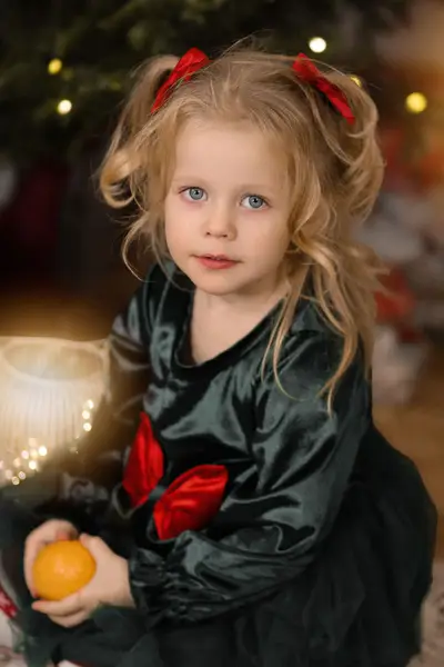 Vánoční focení Anna Boháčová - Fotografie č. 7