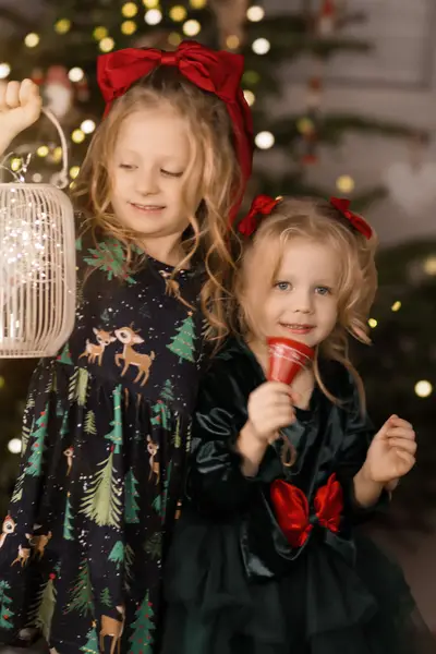 Vánoční focení Anna Boháčová - Fotografie č. 5