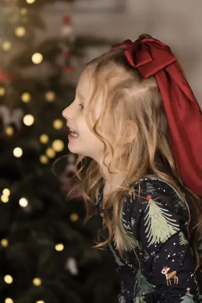 Vánoční focení Anna Boháčová - Fotografie č. 10