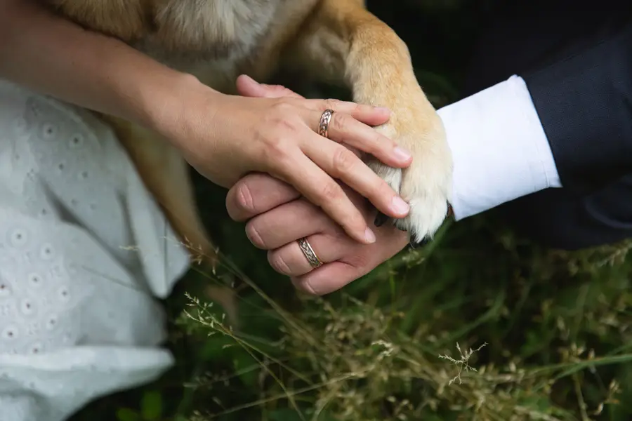 Svatební fotograf Barbora Ulrychová - Fotografie č. 8