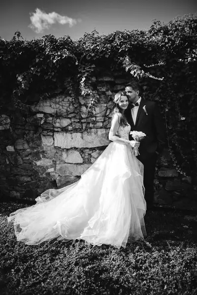 Svatební fotograf Patrik Hácha - Fotografie č. 8